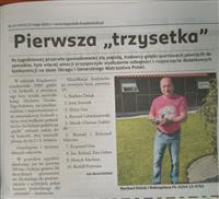 Gołębie zdjęcie